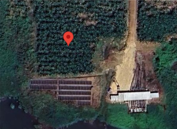 G1 Solar PV Project
